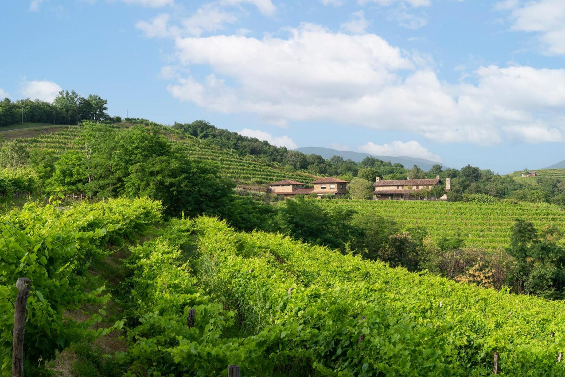 فيلا Lis Fadis Wine Relais Cividale del Friuli المظهر الخارجي الصورة